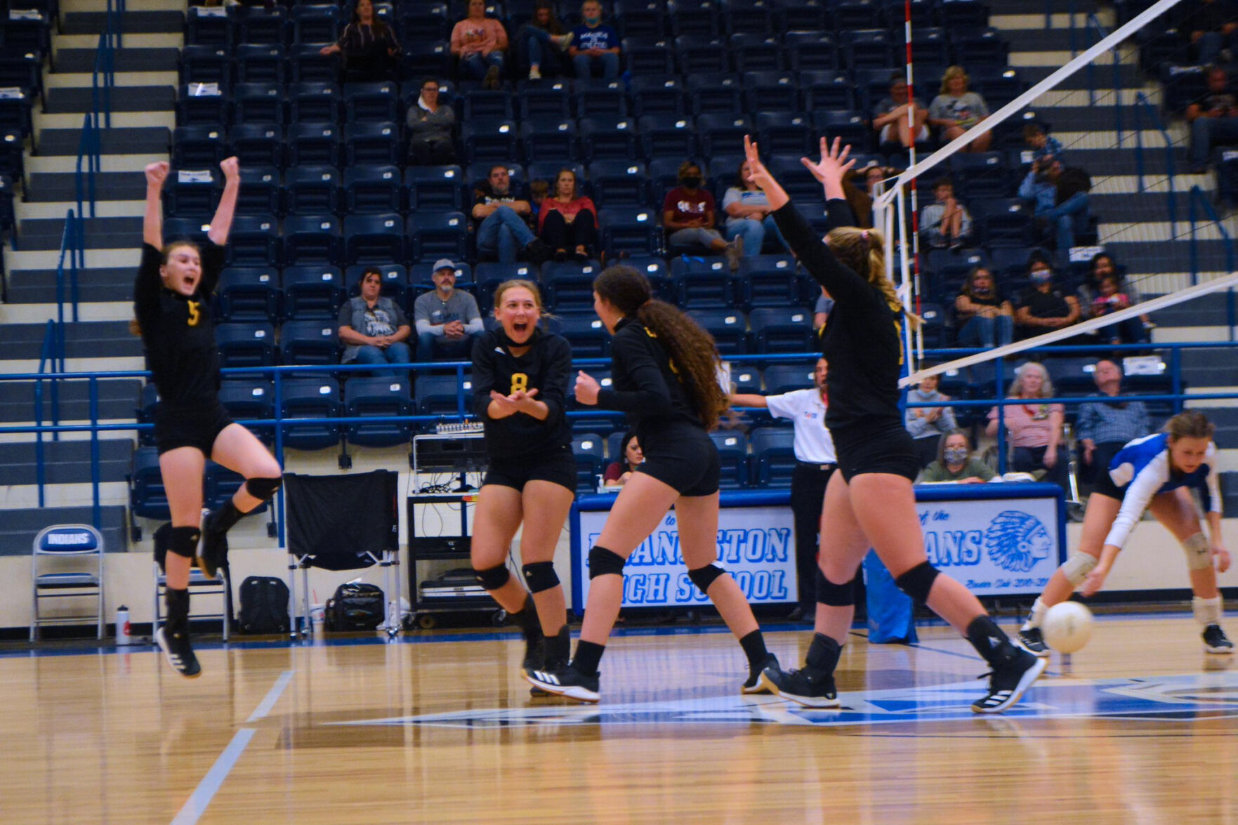 Cayuga Ladycats